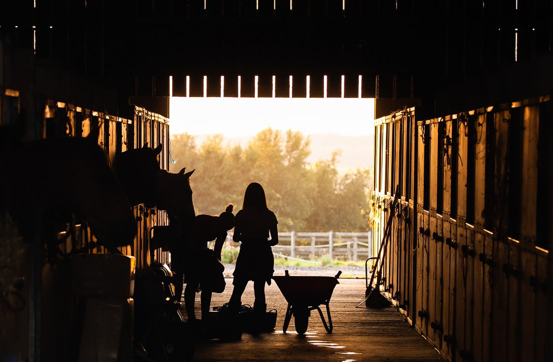 Barn Closed? Here are some ways to get your horse fix.