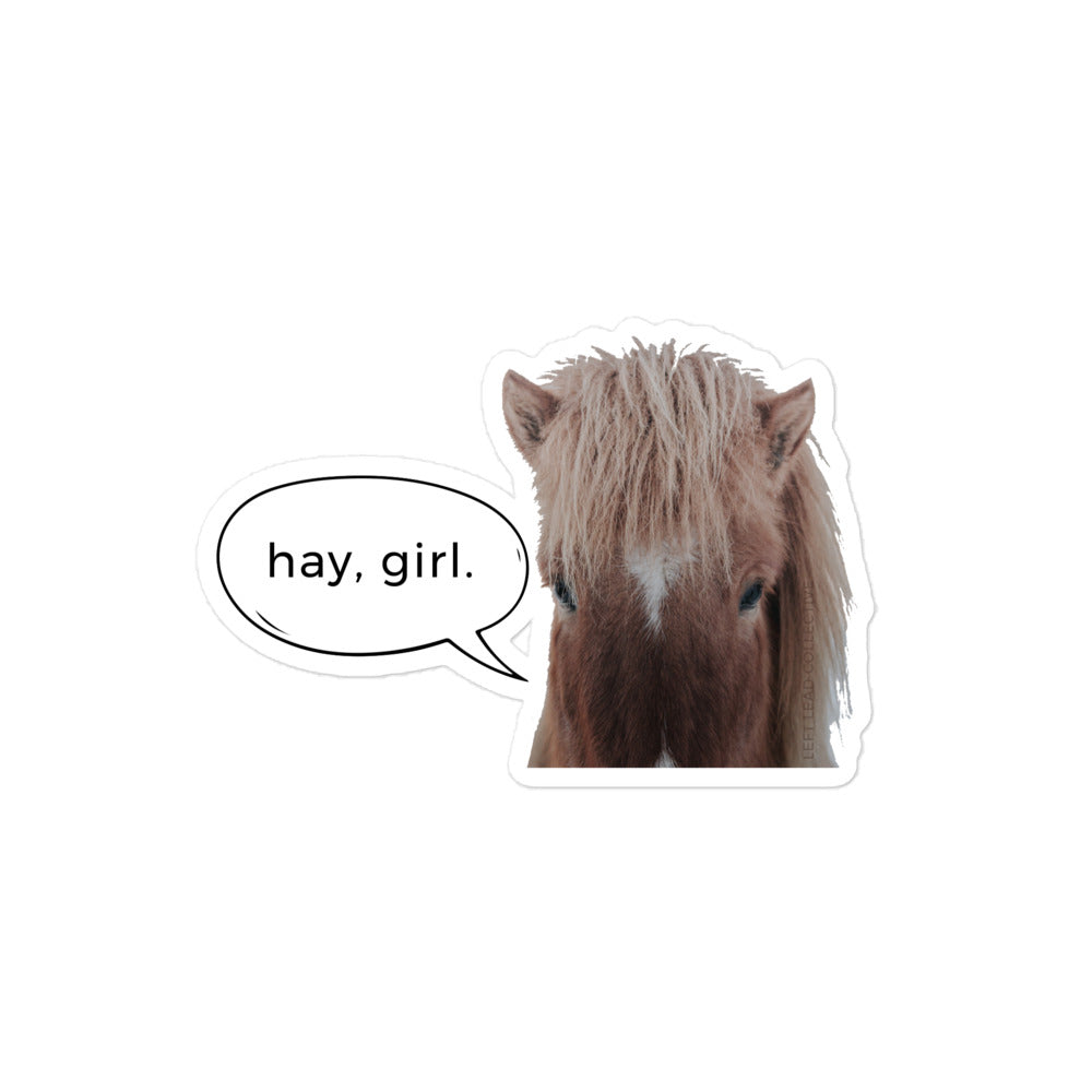 Hay, Girl Fluffy Pony Sticker
