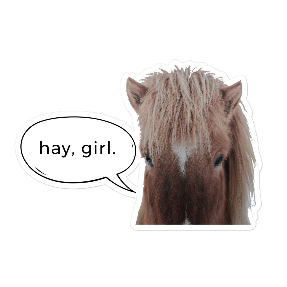 Hay, Girl Fluffy Pony Sticker